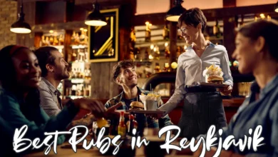 best pubs in Reykjavik